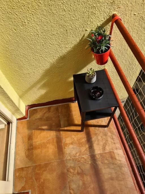 Colourful Modern Flat / Balcony / Charles Bridge דירה פראג